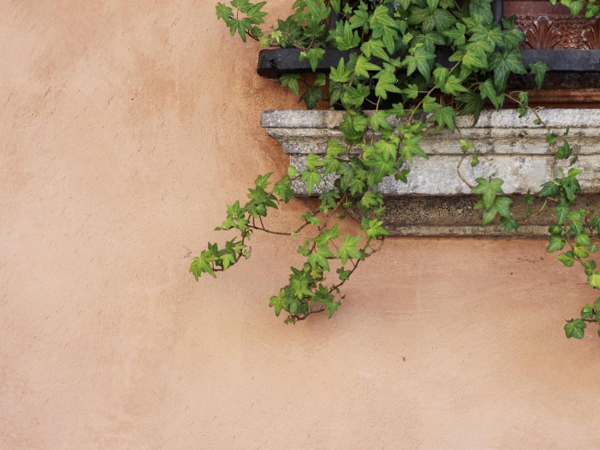 Casa Isolani Charms Rooms Santo Stefano โบโลญญา ภายนอก รูปภาพ